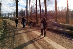 IMG_20210404_163214_981