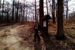 IMG_20210404_163550_881