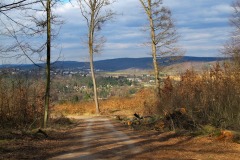 IMG_6242_Dasza