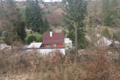 zezadu-AB65B174-E78F-4F1E-B086-CCC031009996